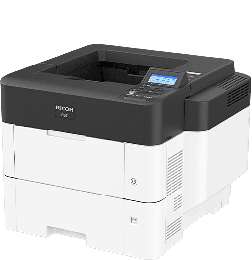 P 800 Black and White Laser Printer