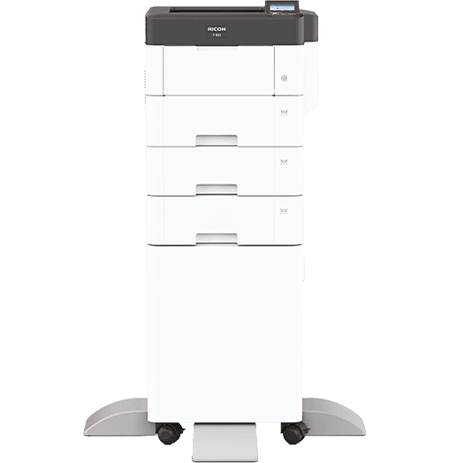 P 800 Black and White Laser Printer
