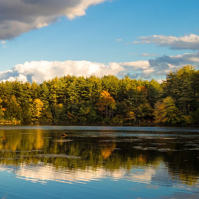 Respecter les initiatives de durabilité