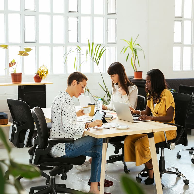 Enhance your efficiency and versatility