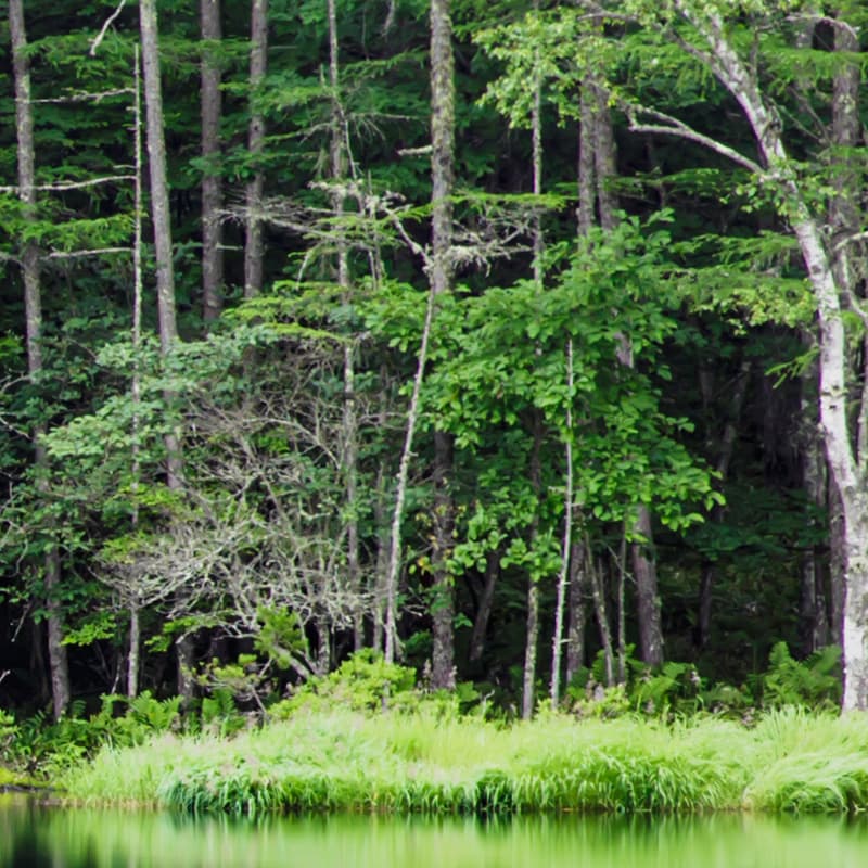 Committed to environmental responsibility