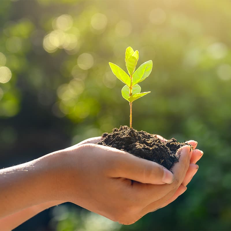 Veiller à la conformité gouvernementale et environnementale