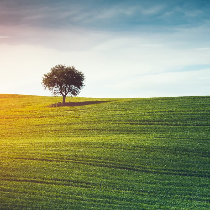 Simple and environmentally-friendly