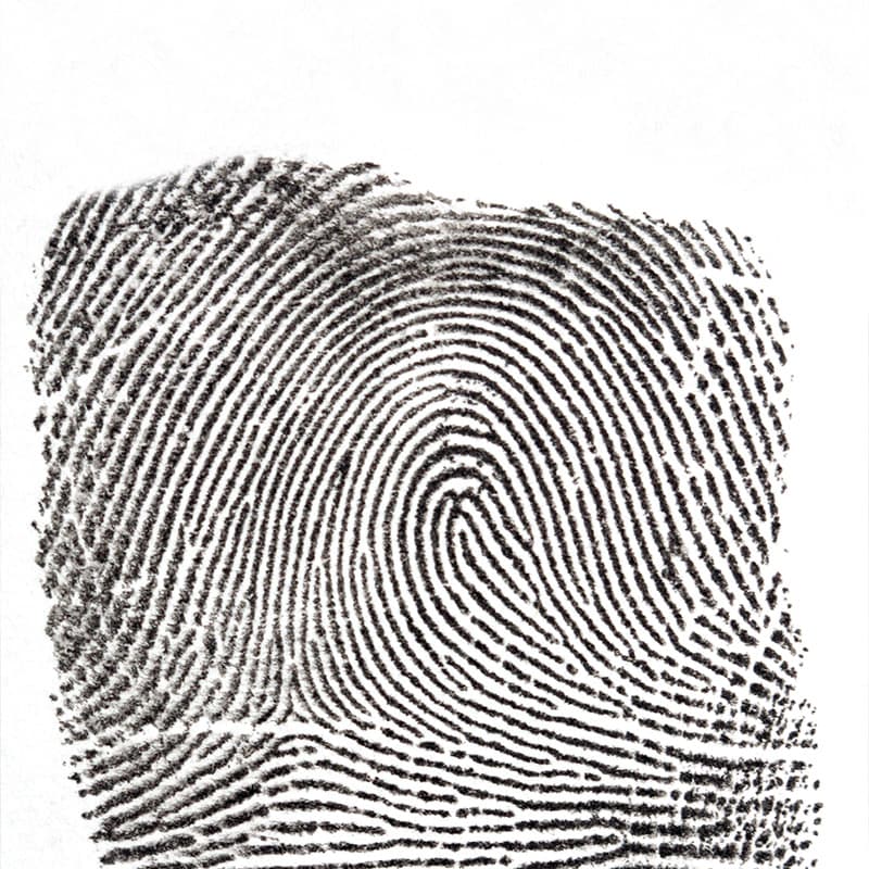 Image correction enhances workflow efficiency