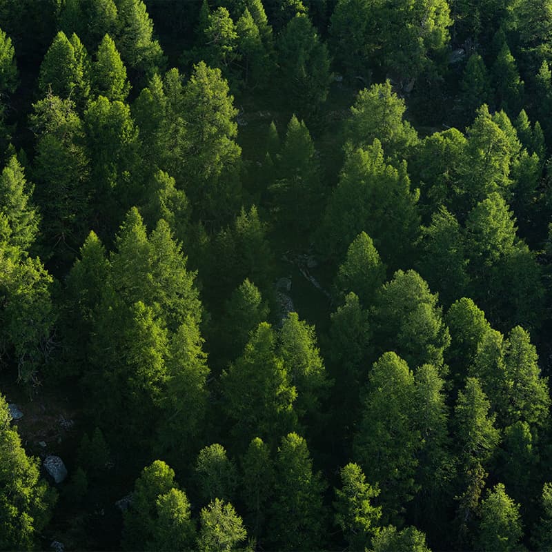 Scan sustainably
