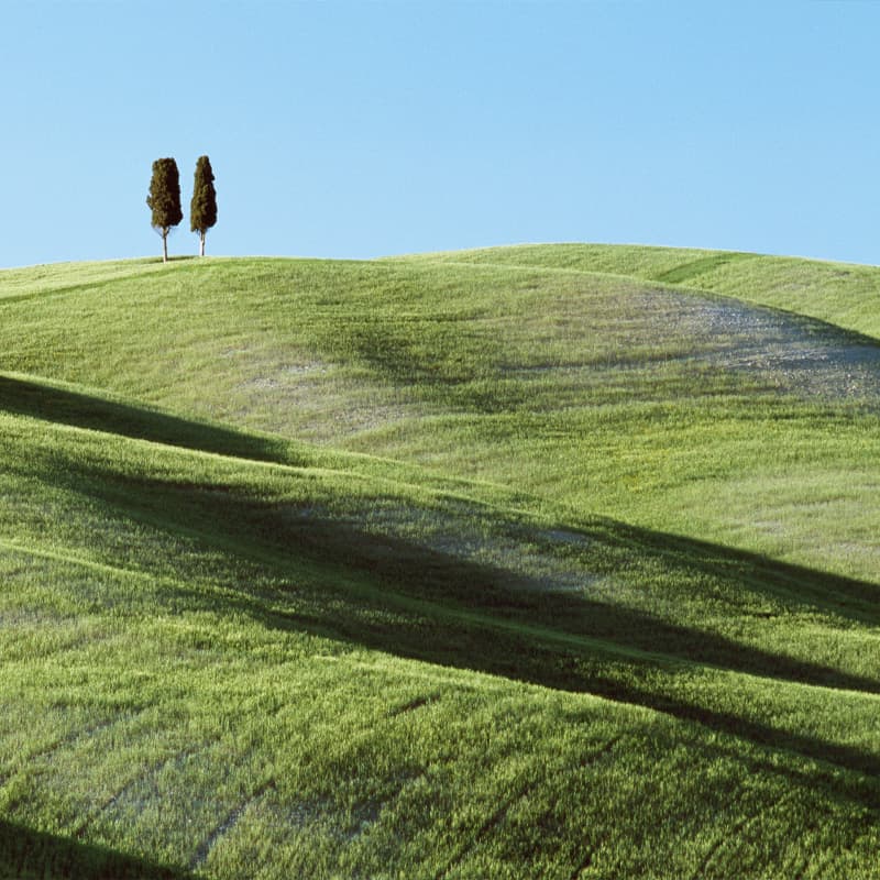 Respect des normes en matière de conformité et d’environnement
