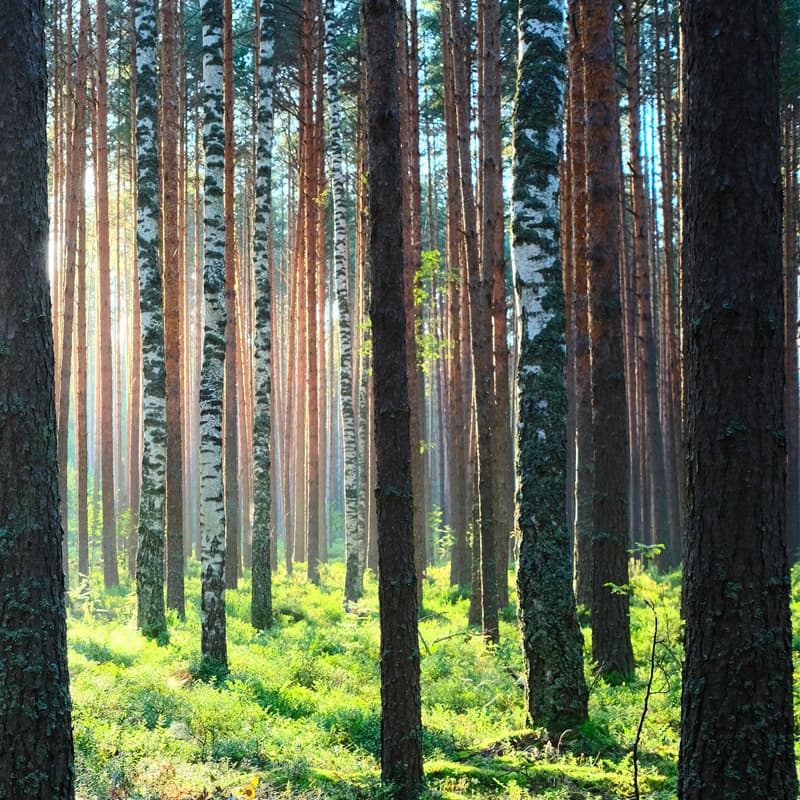 Have confidence in eco-friendly scanning