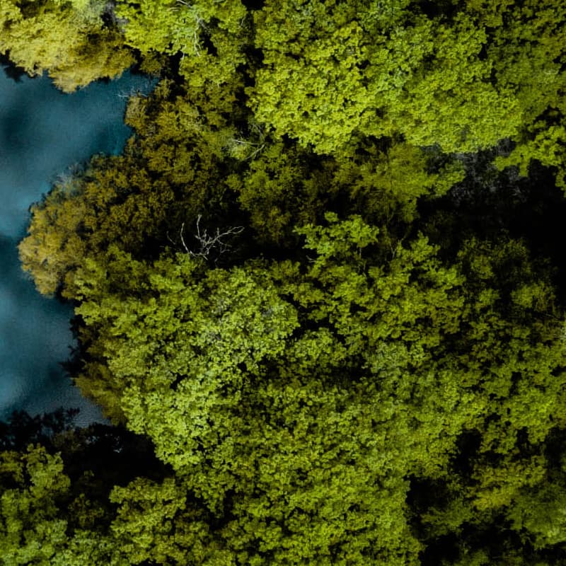 Embrace sustainable technology