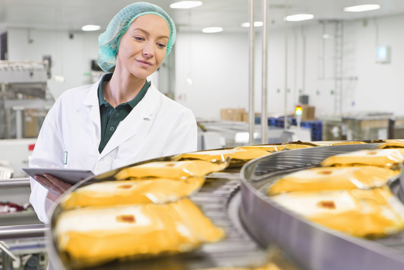 Quality control worker with digital tablet examining cheese at production line in processing plant