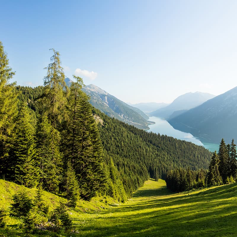 Black and white printing with sustainability built-in