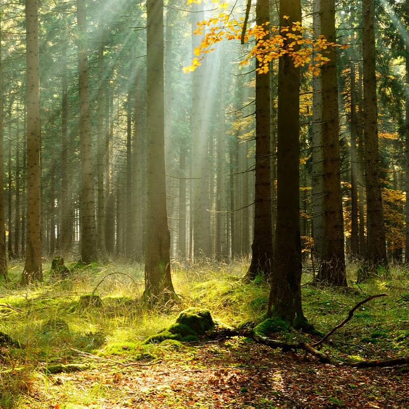 Conception respectueuse de l’environnement