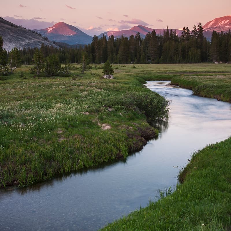 Minimize environmental impact