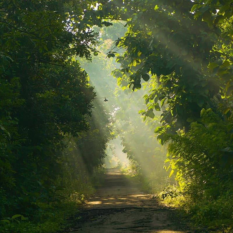 A sustainable design and services to support you