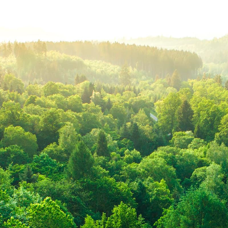 Put your energy to good use