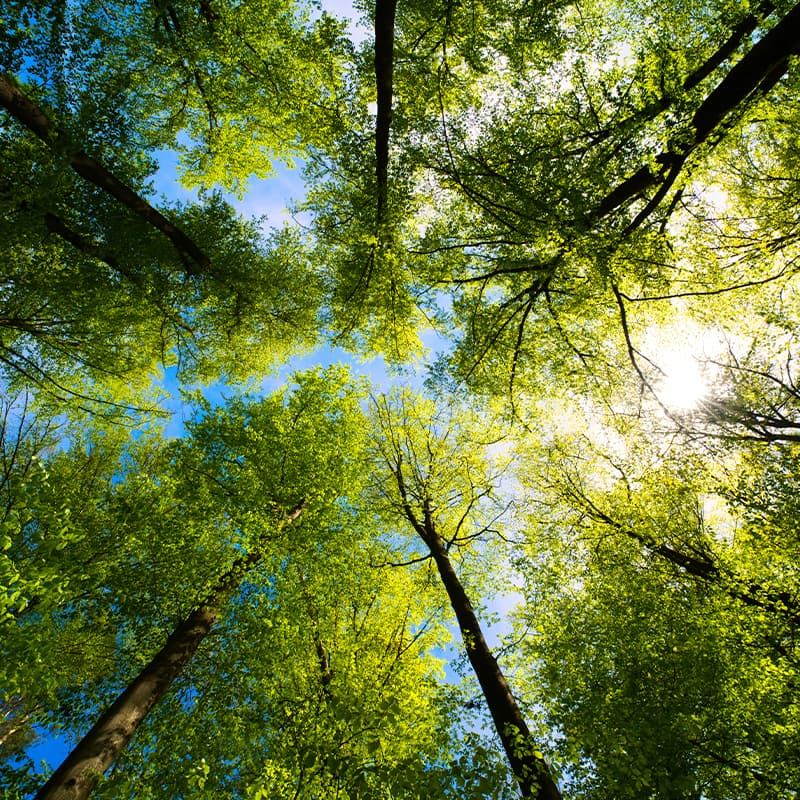 Printing with the planet in mind