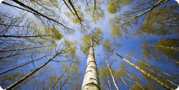 How Aboriginal communities can preserve their history