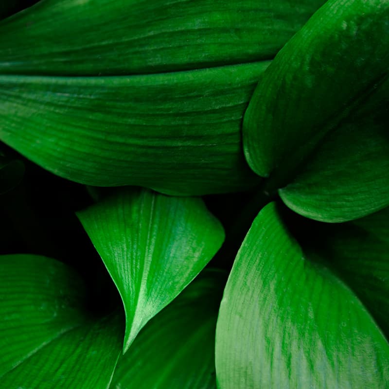 Produire des impressions couleur dans le respect de l’environnement