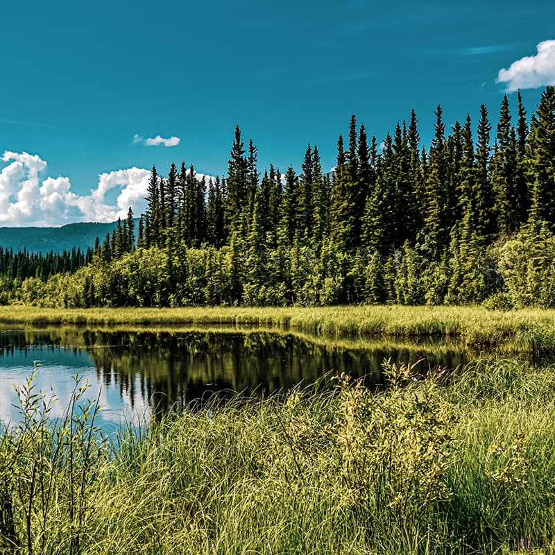 More sustainable and more productive