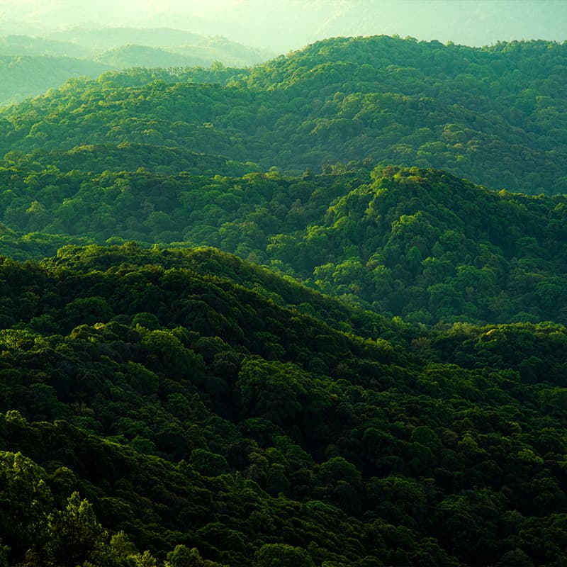 Eco-conscious design for sustainable operations