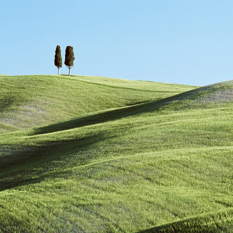 Promote a sustainable future