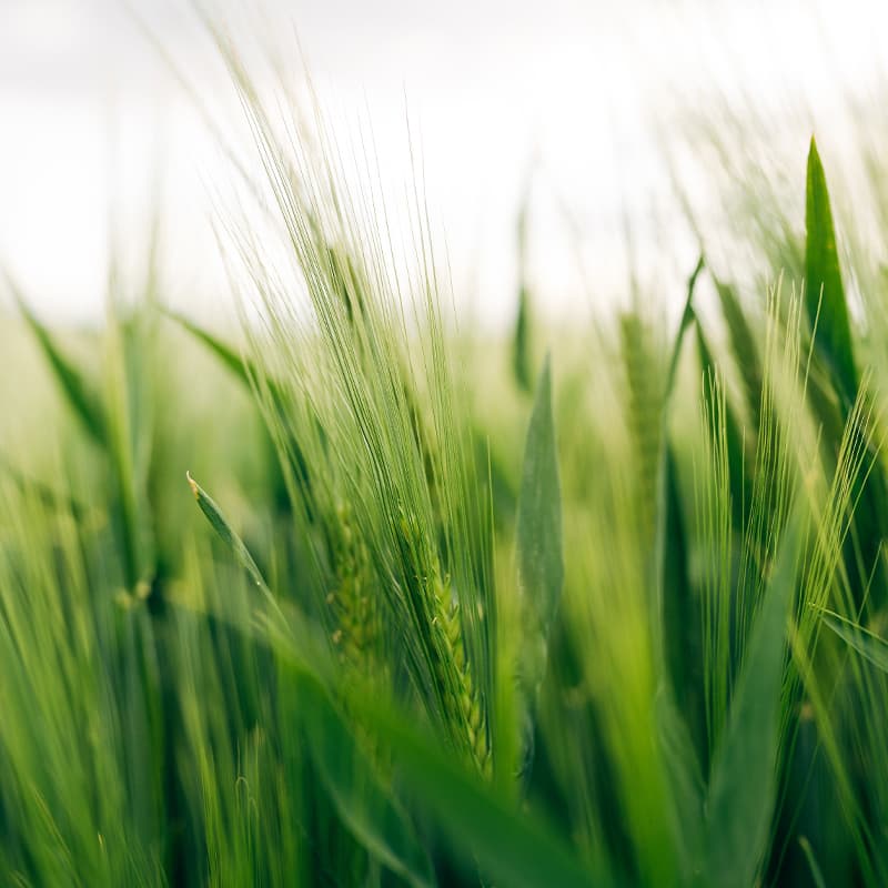 Pave the way for a greener future
