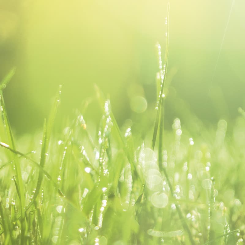 Faire des choix judicieux, être respectueux de l'environnement