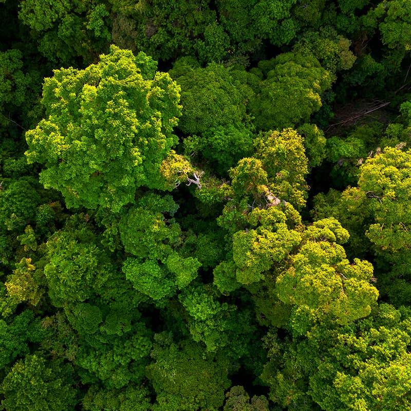 Energy-smart printing for high-usage environments