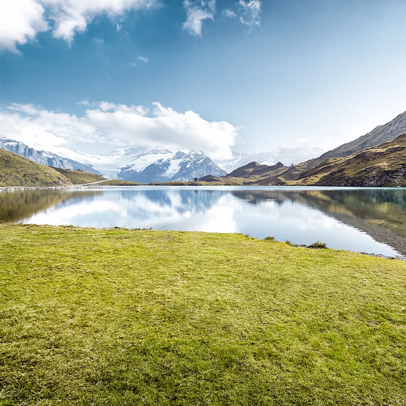 Embrace a more sustainable future