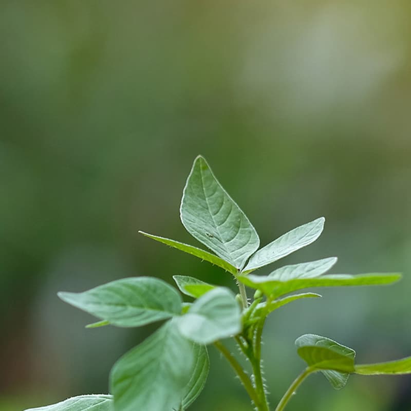 Environmentally conscious printing