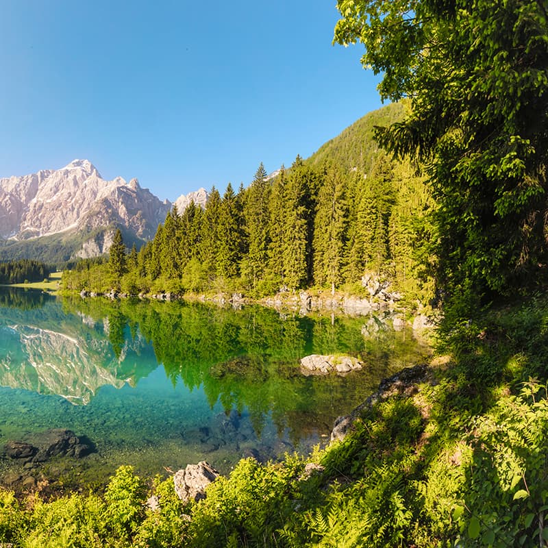 Sustainable by design