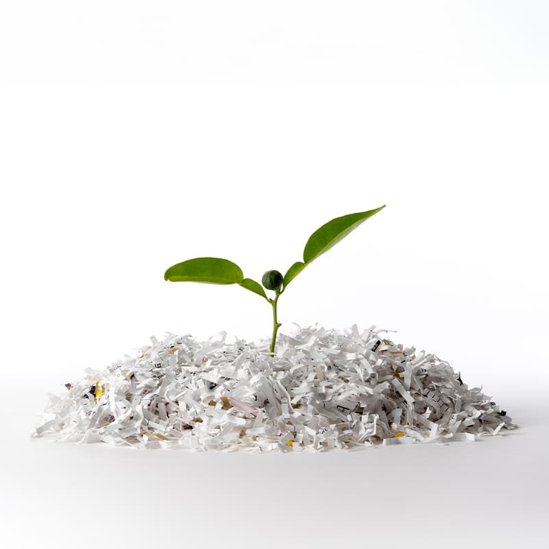 Papier écologique