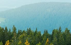 Imprimantes de série GreenLine et appareils multifonctions réusinés