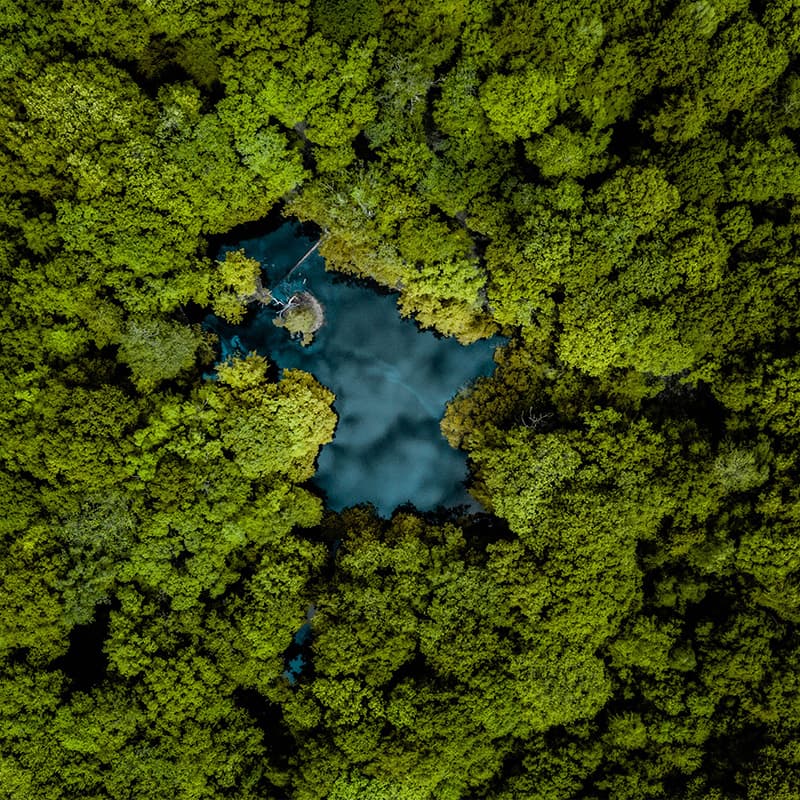 Support your company's sustainability goals