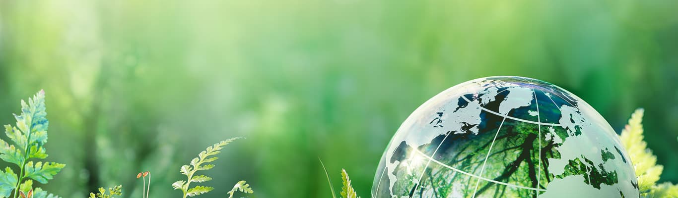 Utiliser son énergie judicieusement